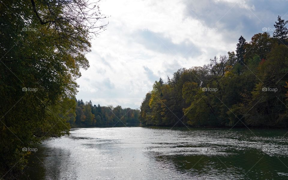 Forest River Winter trees special nice best