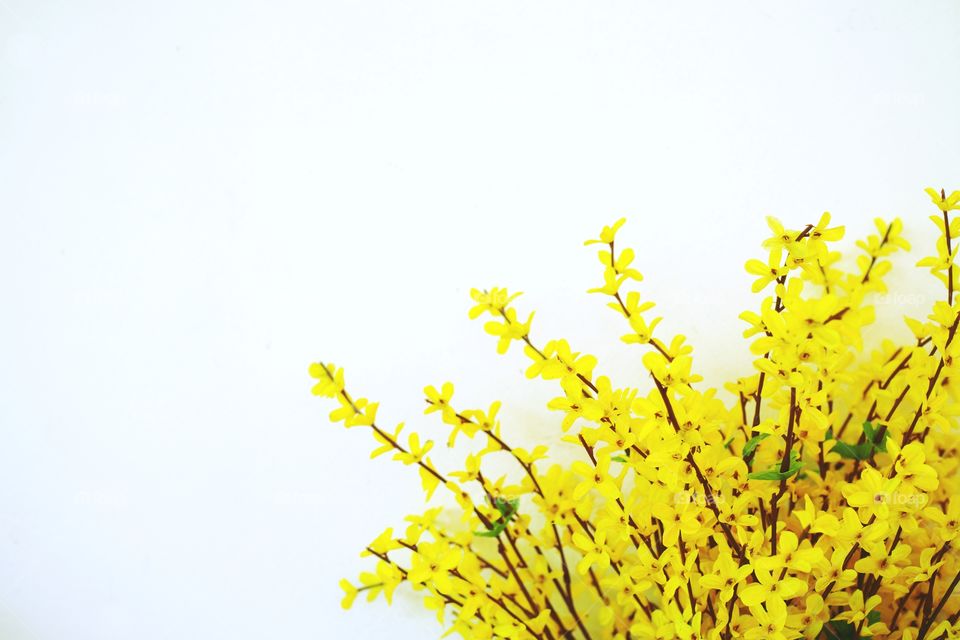 yellow flower decoration