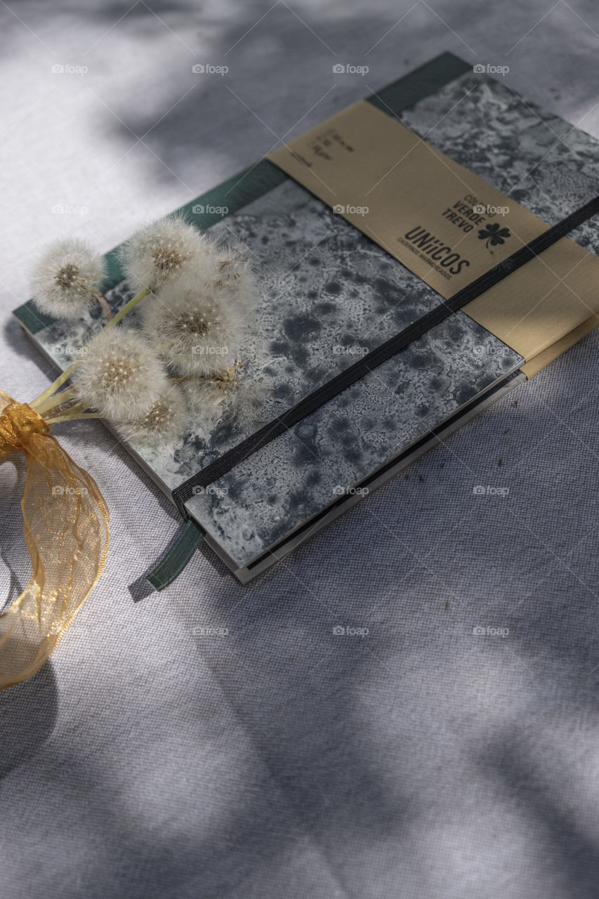 dandelion flowers and marbled Notebook
