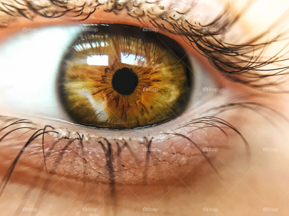 Beautiful Green and brown eye with bright sparkles shot with macro effect 