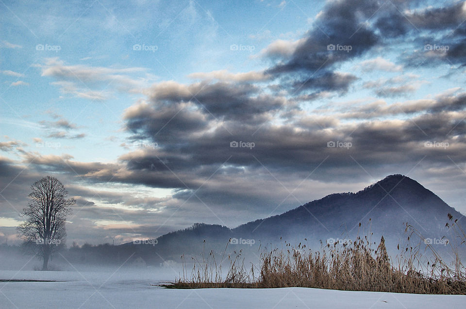 winter sky mountain tree by selecshine