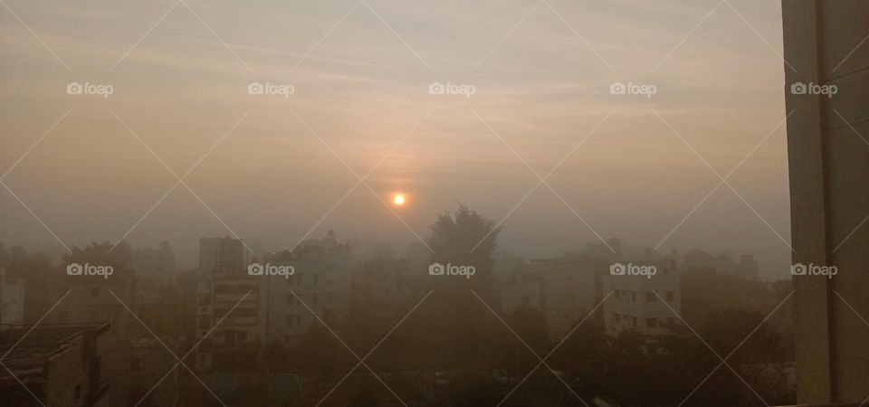 foggy morning 🥶♥️