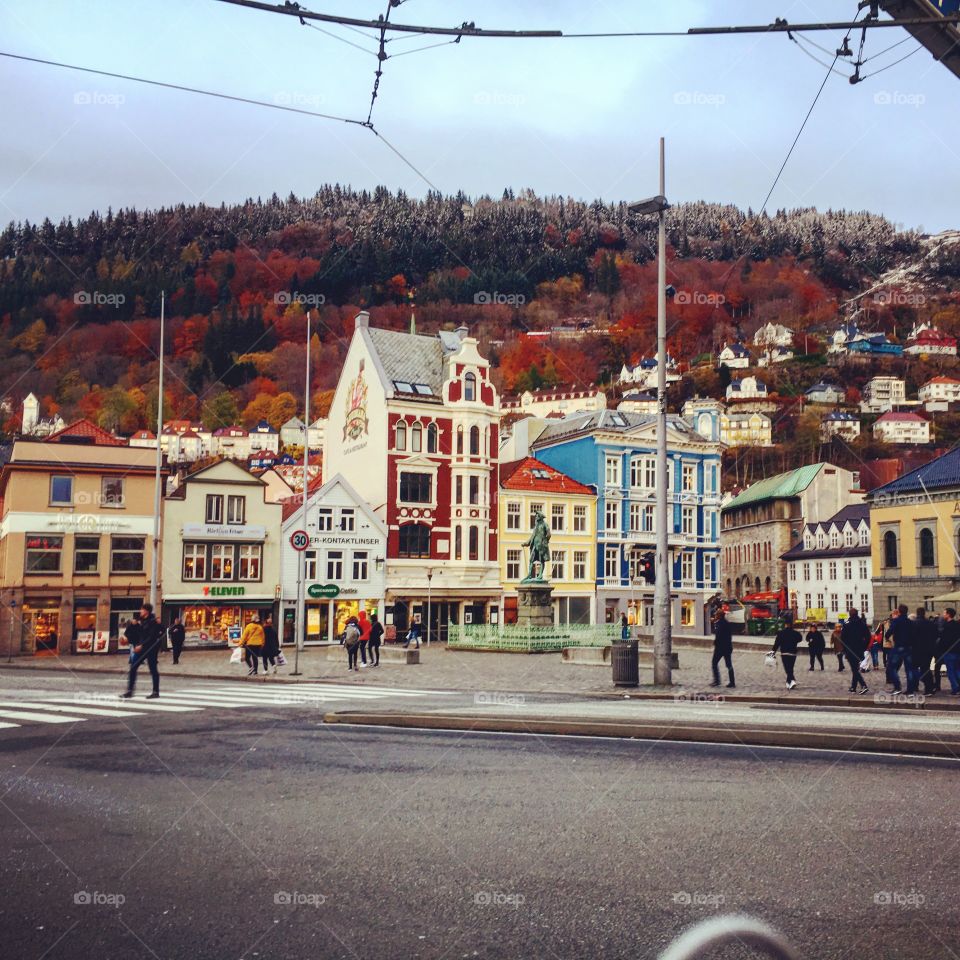 Autumn colours in the hills around Bergen city 