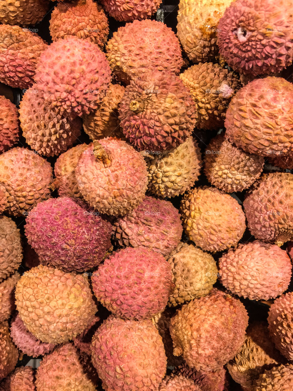 Lychee