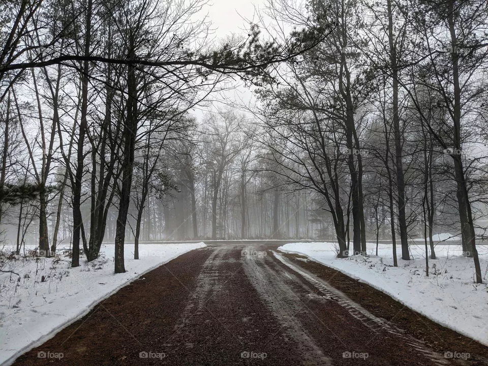 Foggy snowy morning