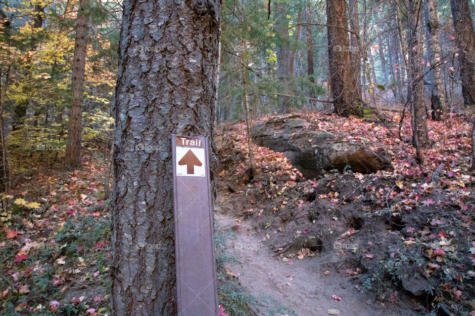 Fall Trails