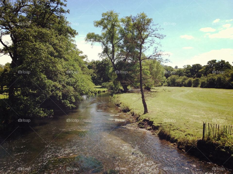 Scenic view of river