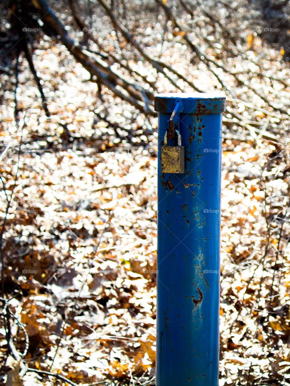 A lone pole in the woods with a lock. There are scenic colors and a sense of mystery hidden in here. 