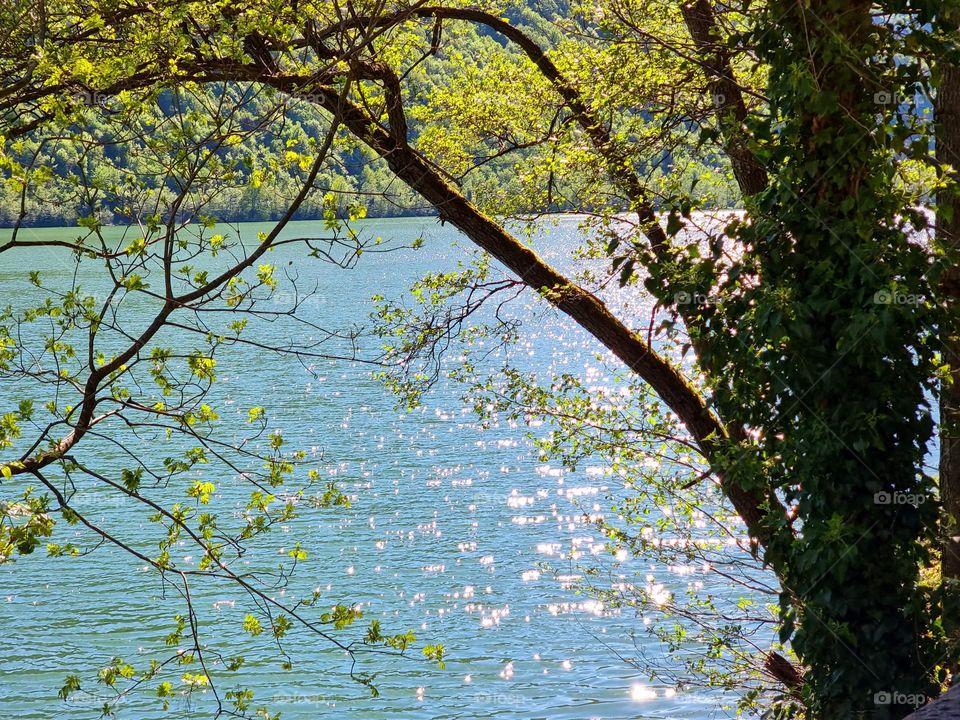 Naure lake