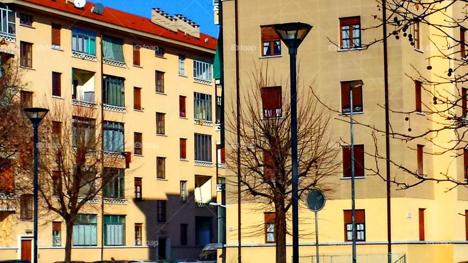 facade, house, windows, landscaping, building, colors