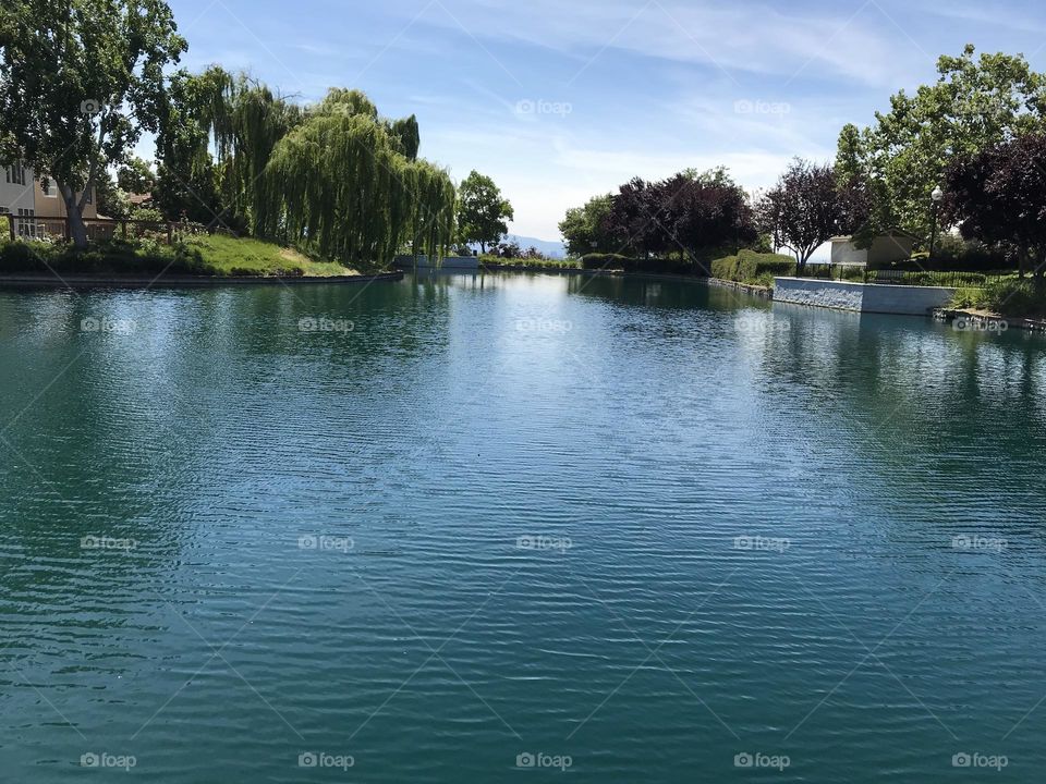 Reflection of light on pond