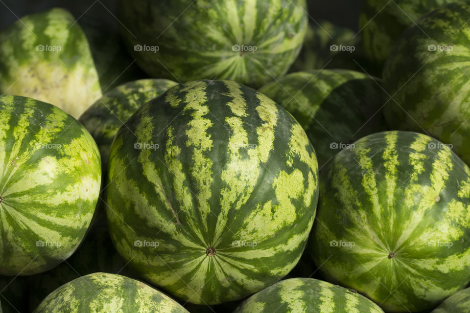ripe watermelons in the market. Close up. A lot of large ripe green striped watermelons close up background. Organic farmer market, store