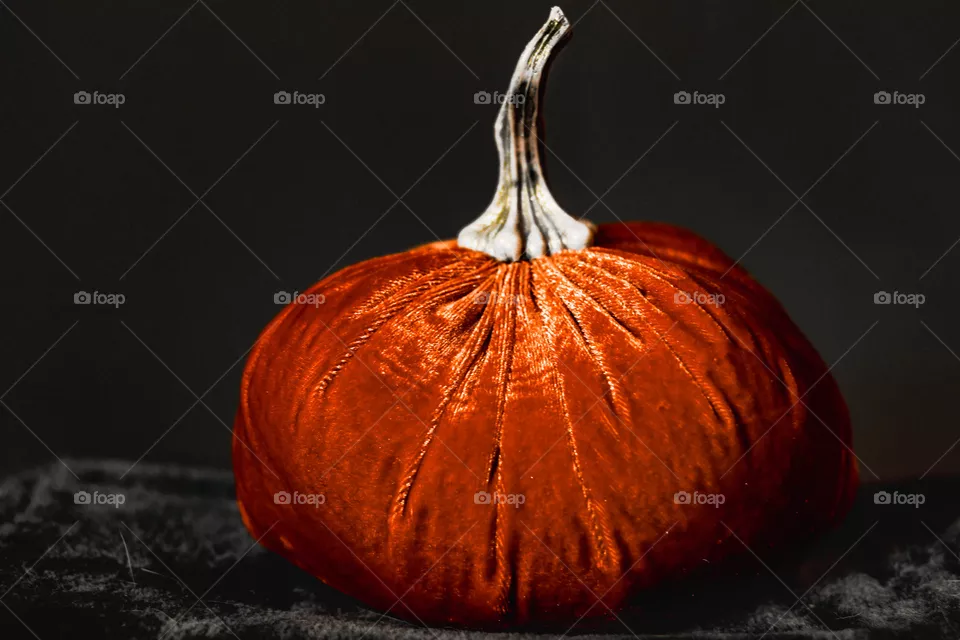November Pumpkin