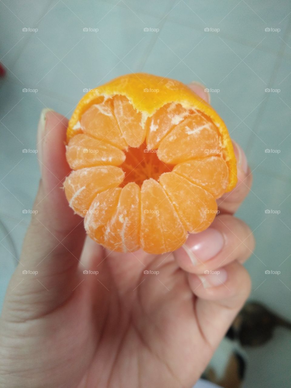 beauty of orange