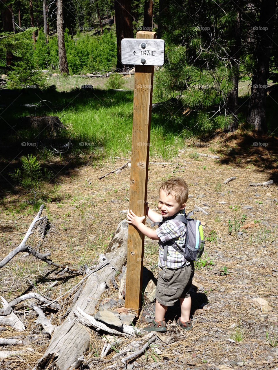 A toddler boy wearing shorts and a cute little backpack waits at the hiking trail sign waiting for the adults to catch up on a sunny summer day in the forests of Central Oregon. 