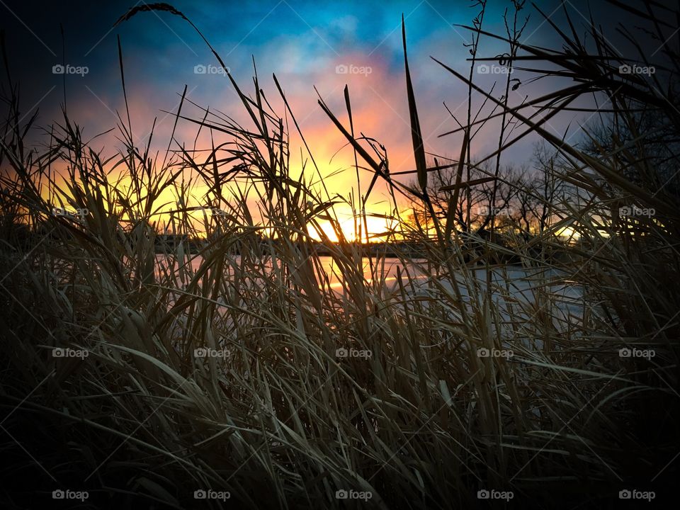 Sunset, Landscape, Reflection, Grass, Light