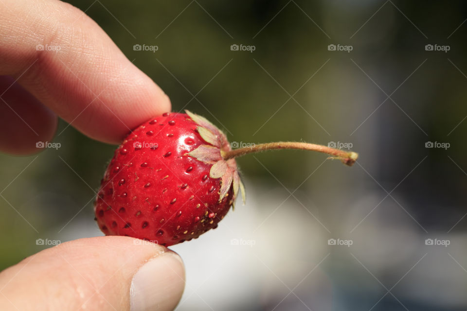 Strawberry