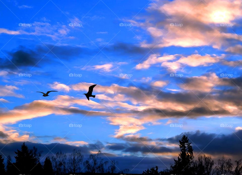 flying into the cloudy sunset