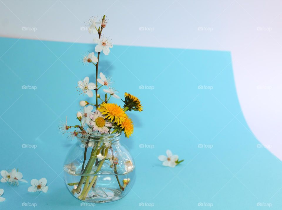 Small glass vase with first spring flowers,  daisies, and dandelion . Beautiful home decor on a blue-white background