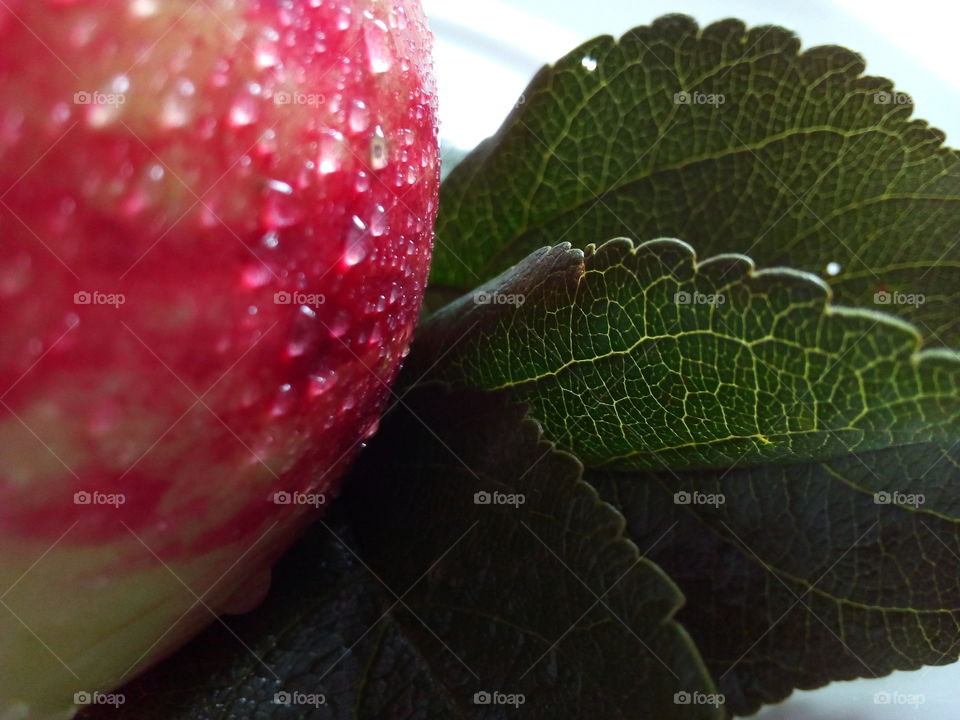 drops of water in the red apple and green leaves