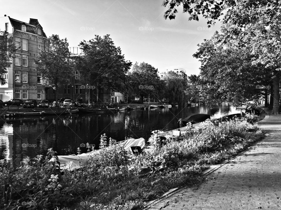 Some canal in Amsterdam