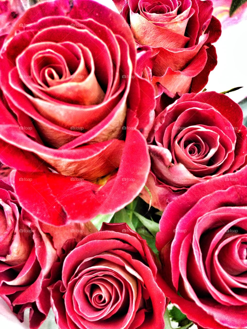 Bouquet of love. Bouquet of roses 