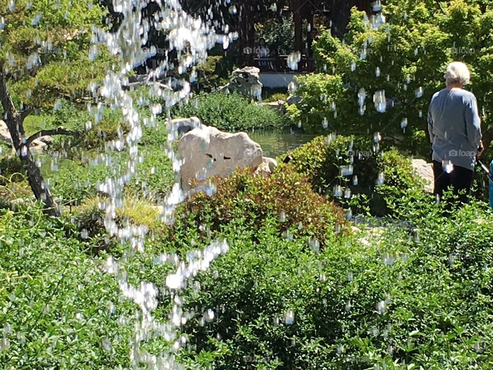 Water falling past the camera. A verdant garden with a glassy pond is visible in the background. 