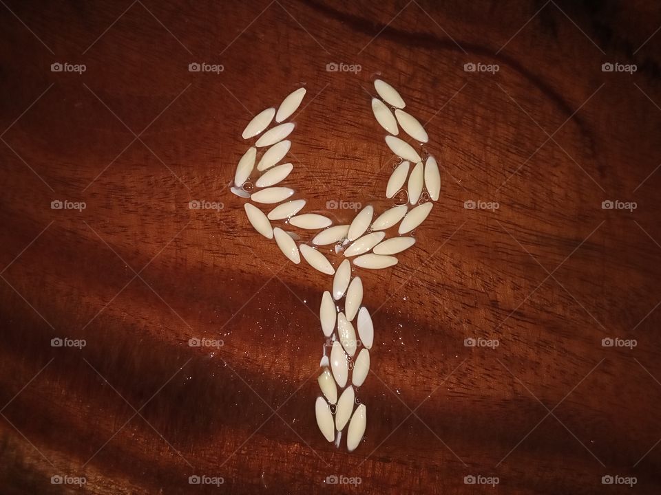 Cucumber seeds art at kitchen.