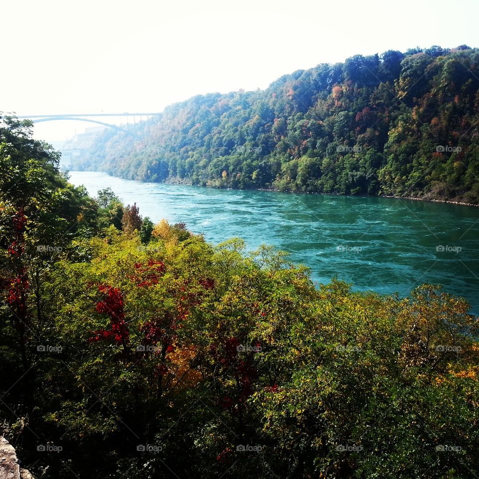 Lower Niagara River