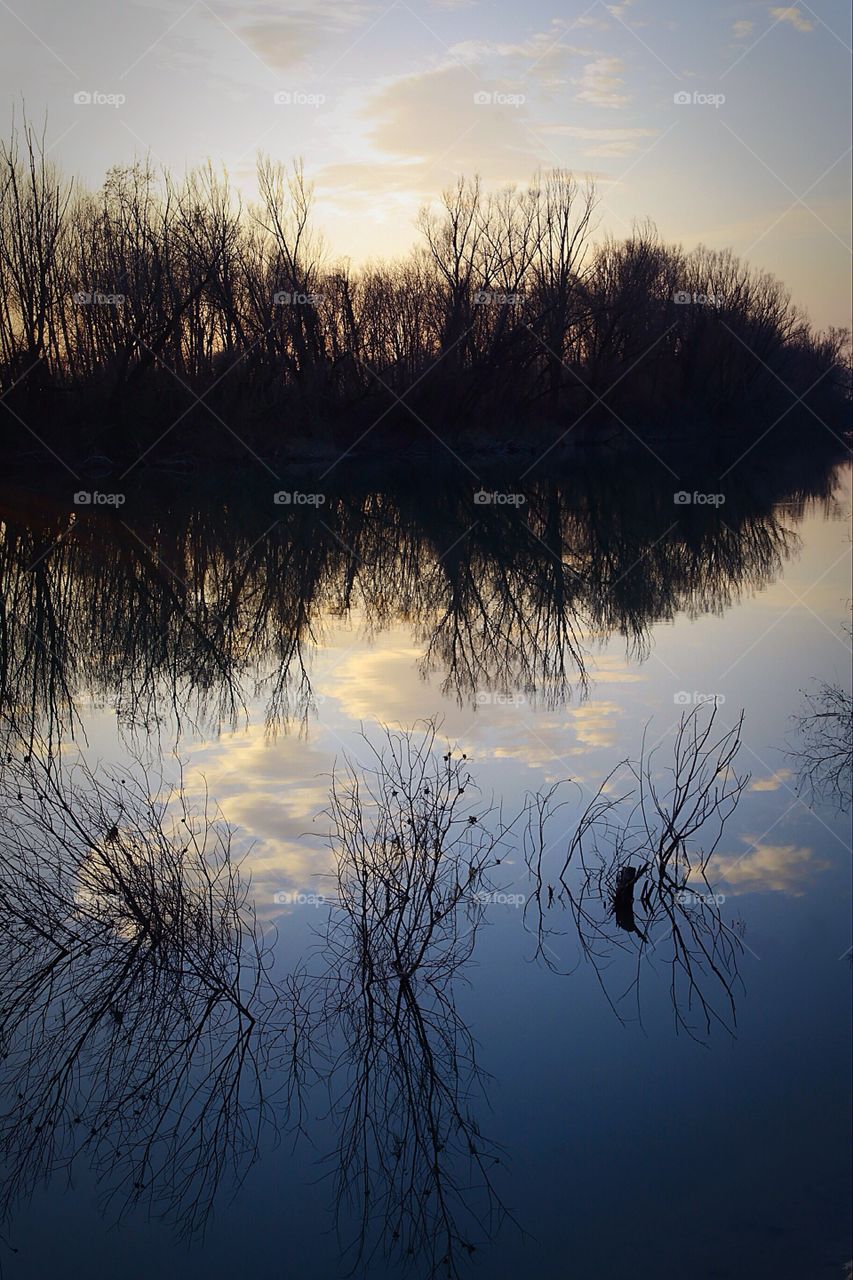 Up side down. Golden hour in the river Brenta in Padova Italy