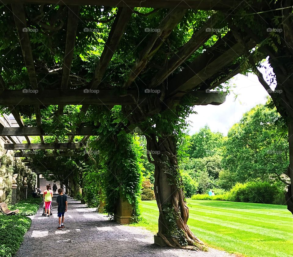 Mediterranean style arbor with children; ivy, shade, vines, shade, gardens