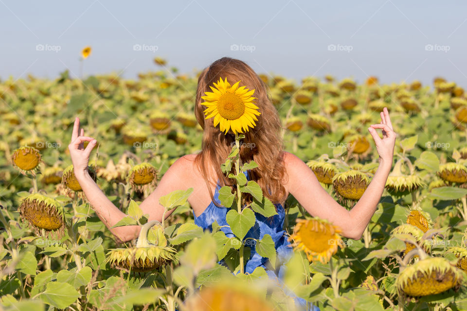 Young woman in the sunflower field meditating, summer fun