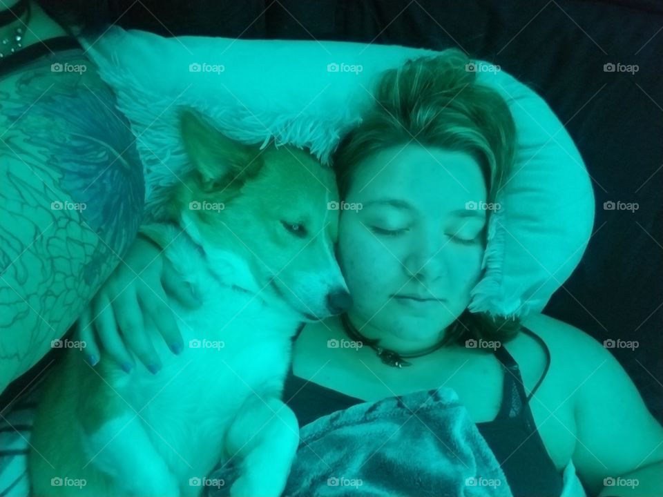 Spring walk with your dog!