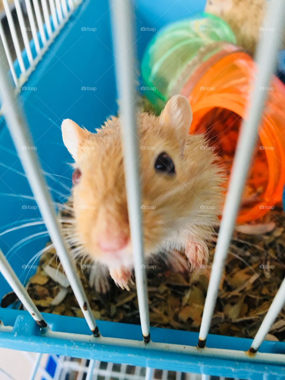 Mouse is not working but 