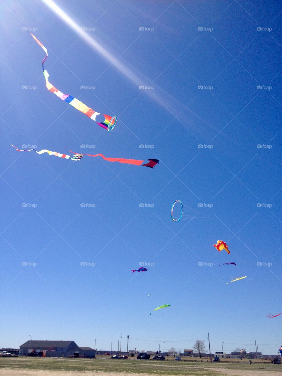 Kites at the beach