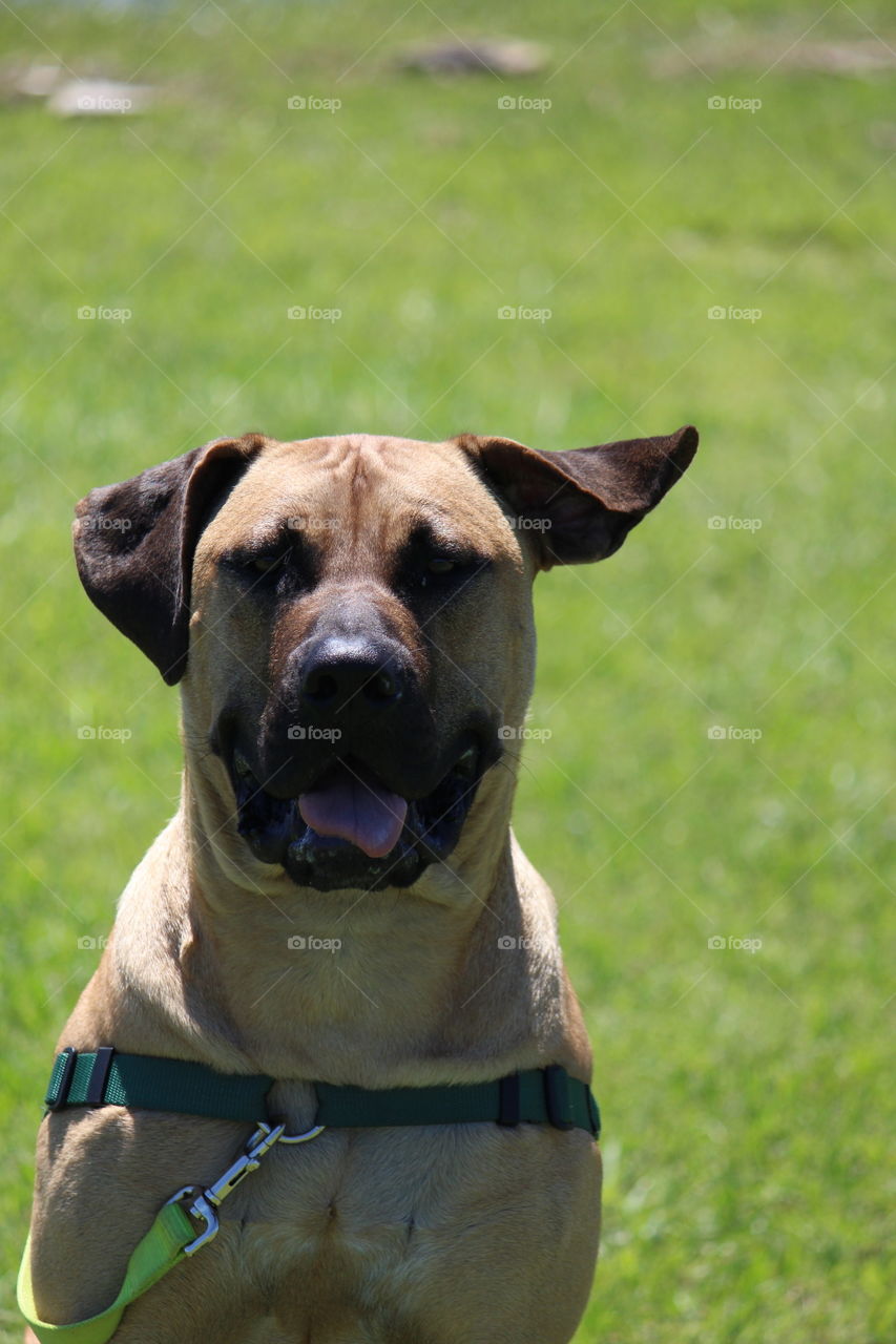 Loose Lips Sink Ships