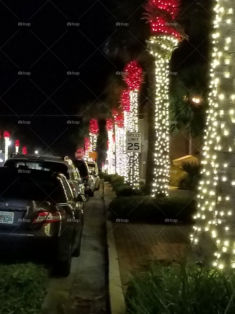Christmas, No Person, Celebration, Car, Street