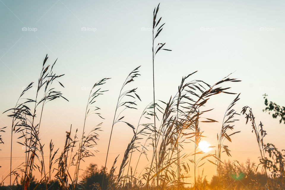 Sunset in the village