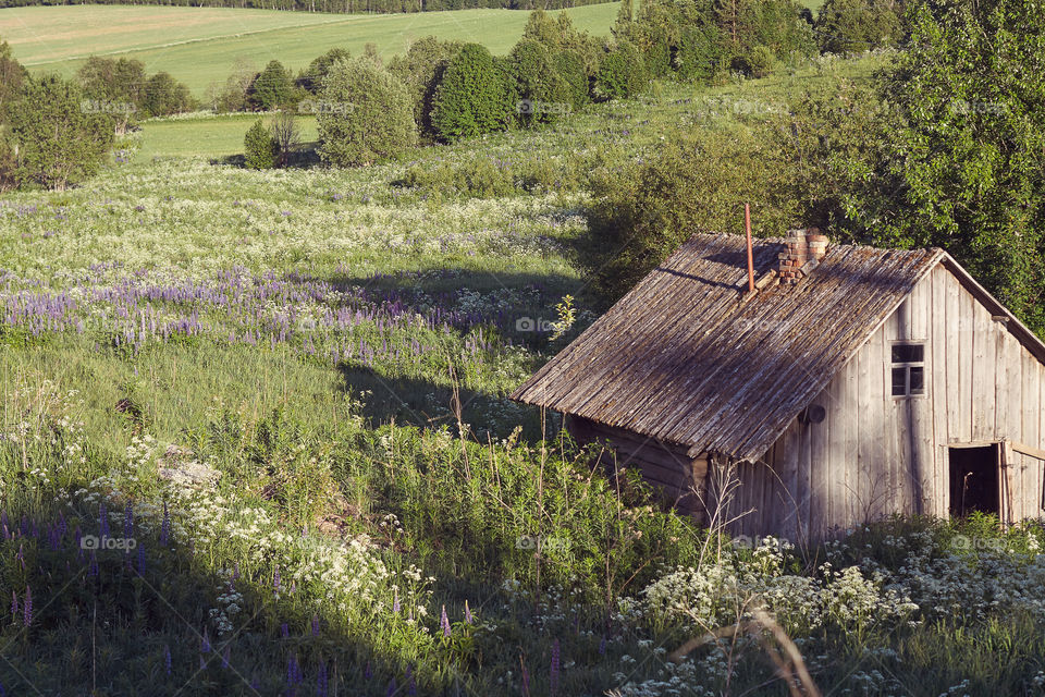 house in the field