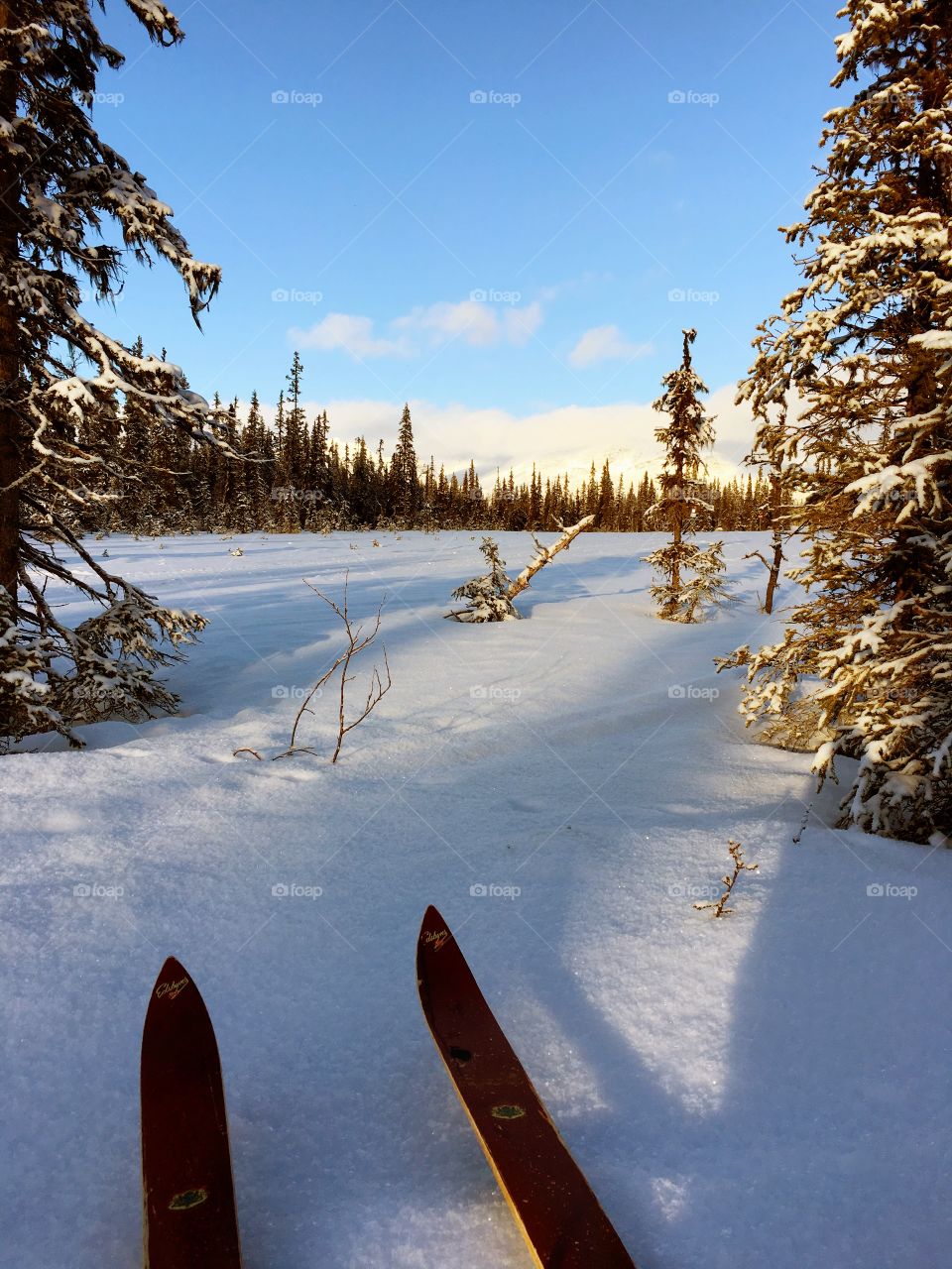 Skiing in winter landscape 