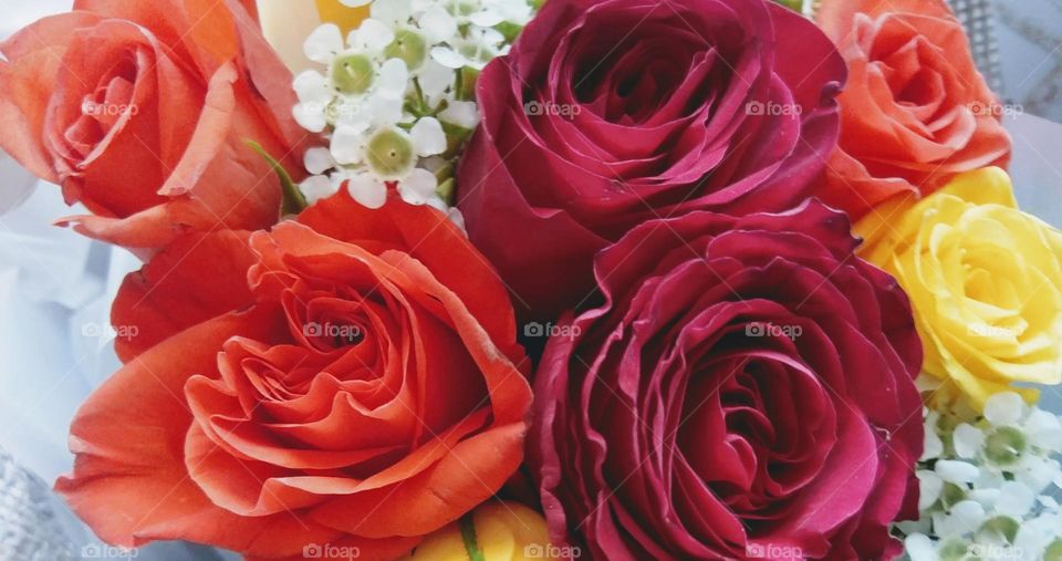 Brighten up your day!