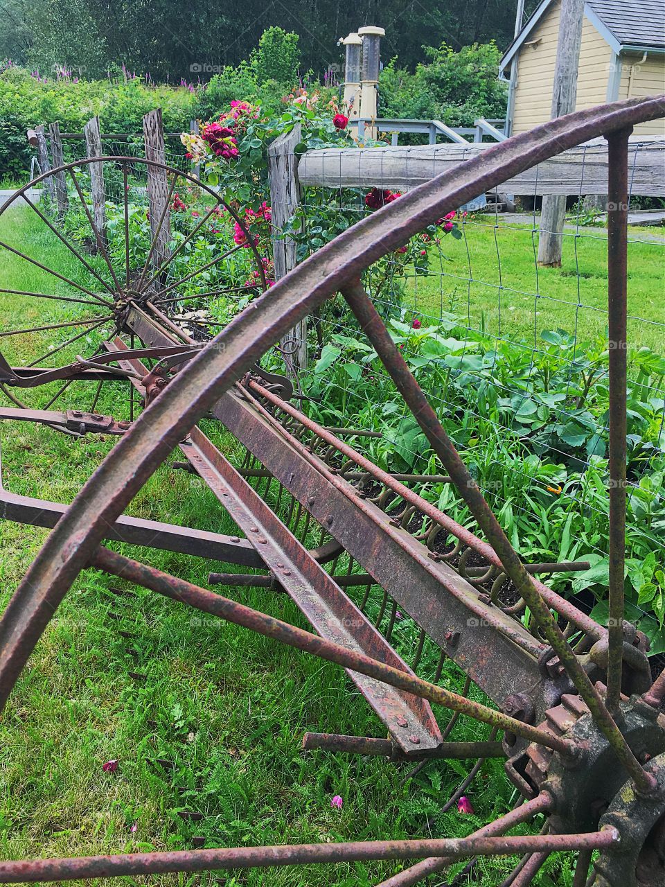 Antique farm equipment, rustic, rusty farm machine, rural setting