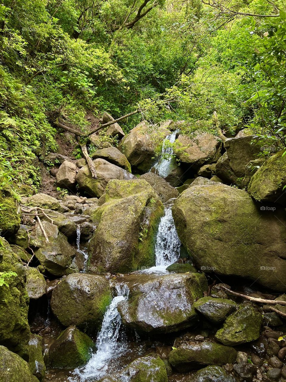Hiking up the Lulumahu Trail in Honolulu Hawaii