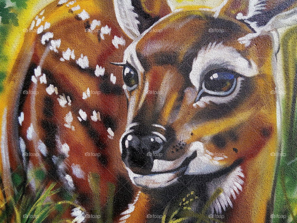 Deer