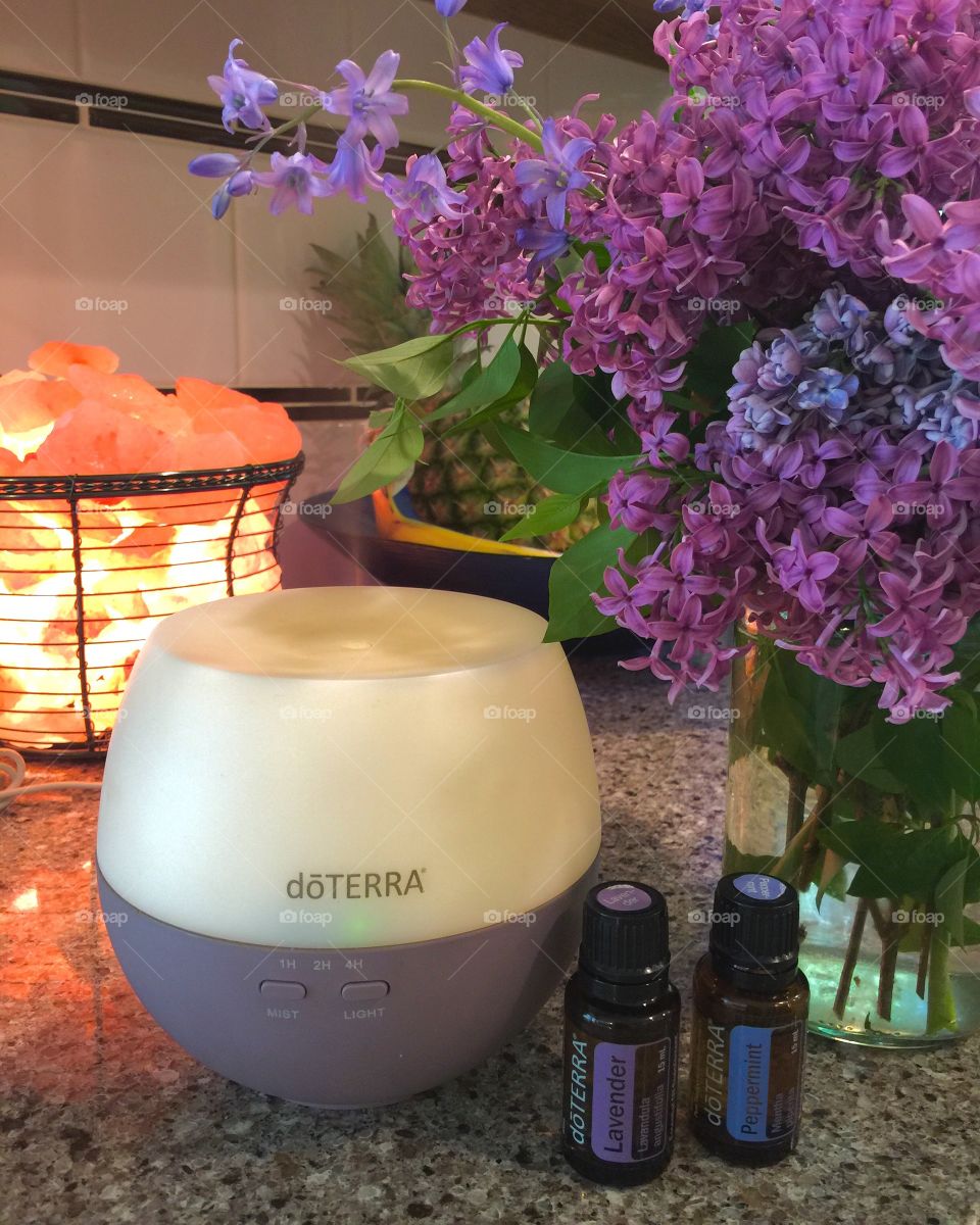 Spring is in the Air