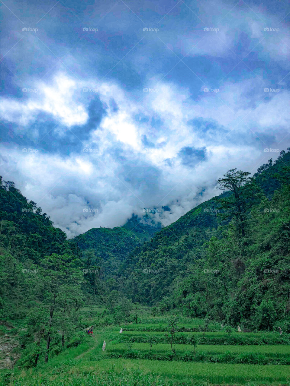 Beauty of Nepal 🇳🇵