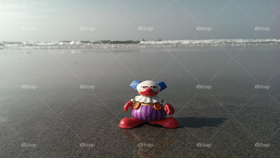 Clownie at the beach