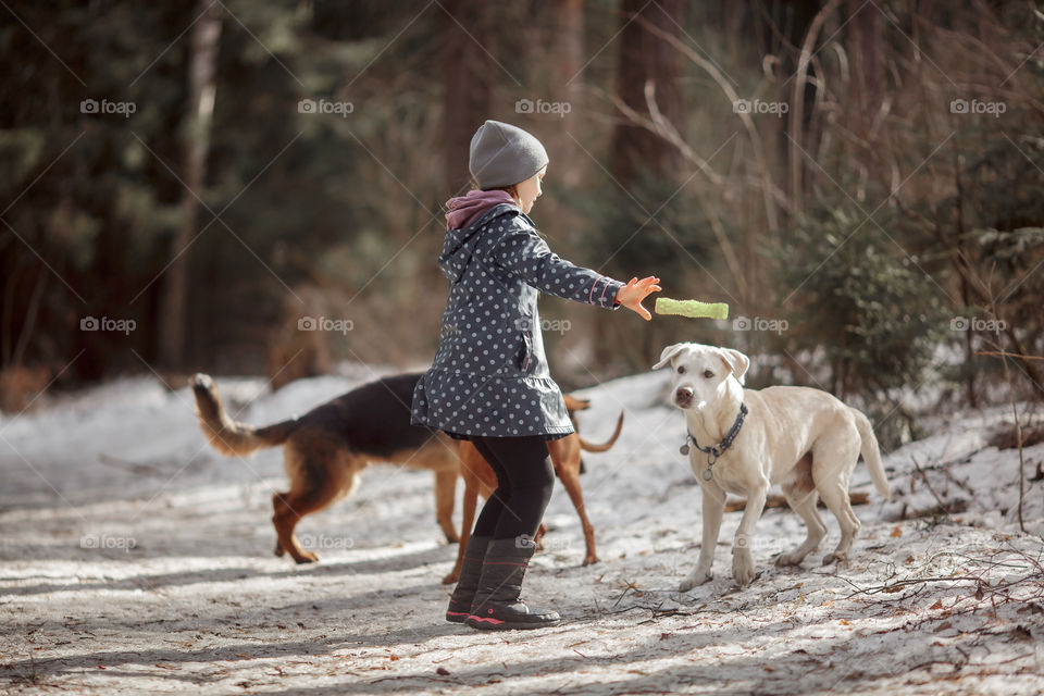 Girl playing with German shepherd puppy in a spring forest at sunny day 