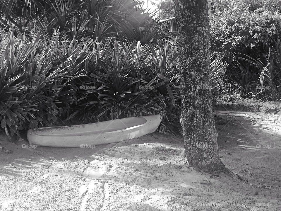 Hidden canoe at a shade at the beach