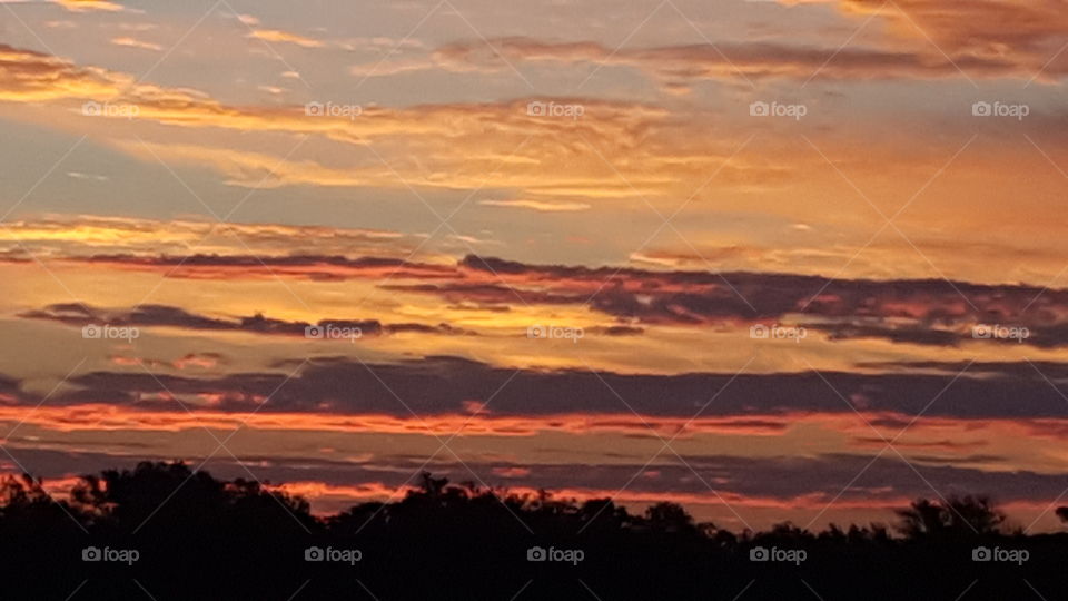 dawn going to school